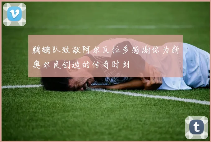 鹈鹕队致敬阿尔瓦拉多感谢你为新奥尔良创造的传奇时刻