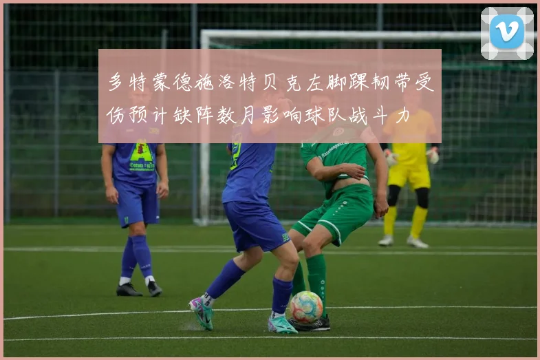 多特蒙德施洛特贝克左脚踝韧带受伤预计缺阵数月影响球队战斗力